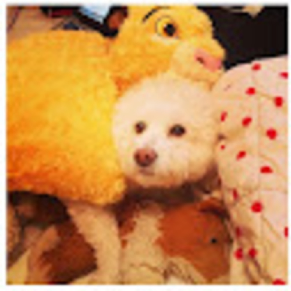 Meet your Posher, Doreen